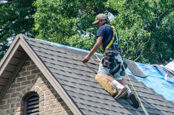 Best Roof Maintenance Services  in Maple Heights, OH